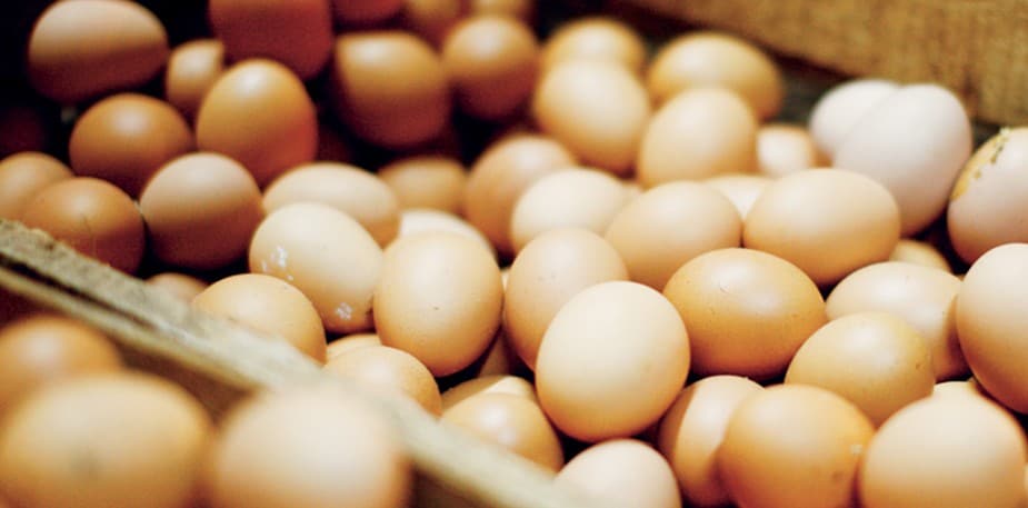 Калкулация на разходите за хранителни продукти