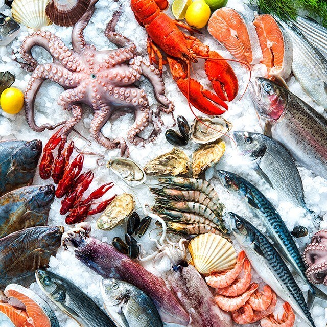 Риби на мода