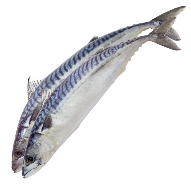 Скумрия Скумрия