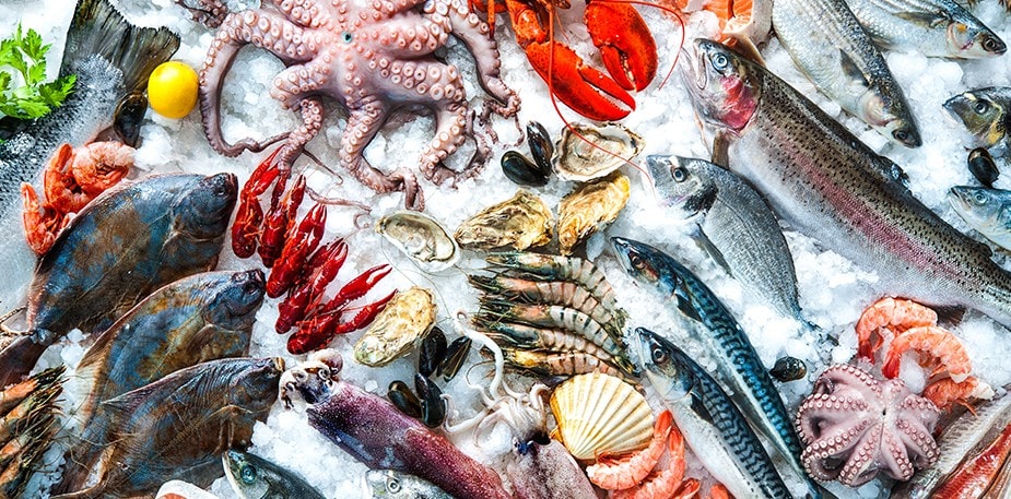 Риби на мода