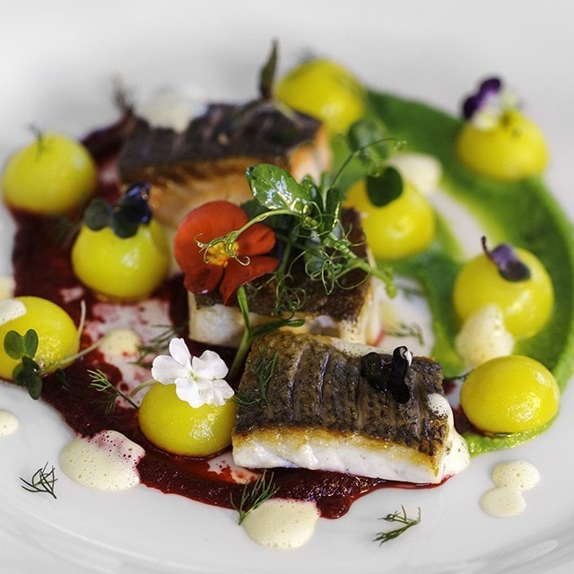 Защо рибата е навсякъде?