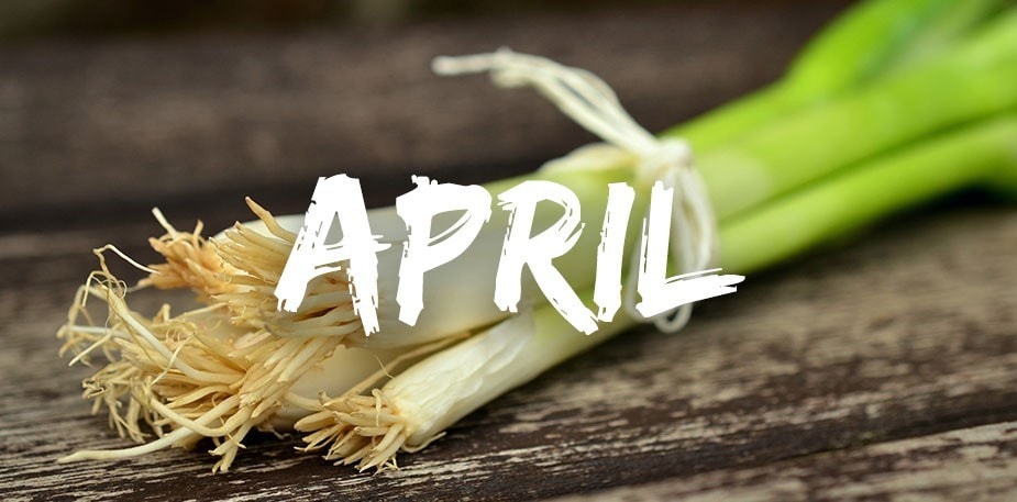 Сезонни съставки през април