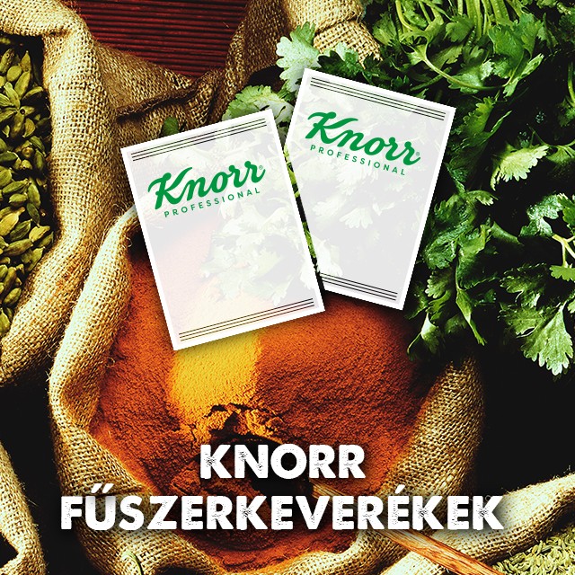 Knorr микс подправки