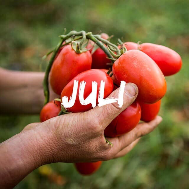 Сезонни продукти през юли