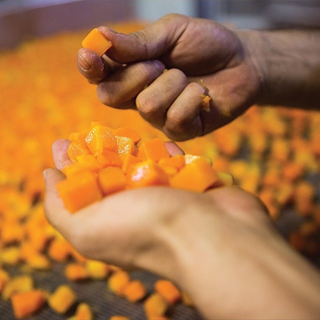 Подготовка